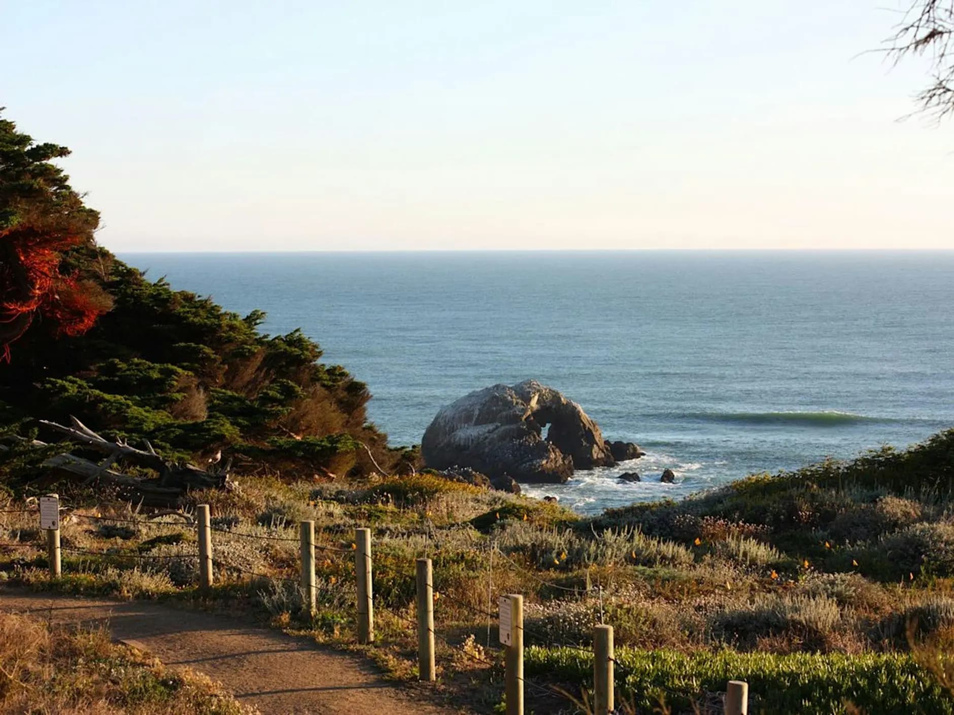 LGBTQ+ Singles Hike (San Francisco)
