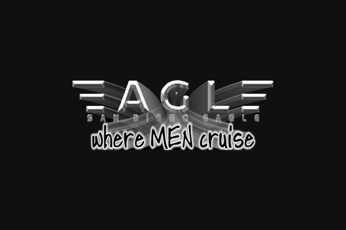 Bald Eagle Night