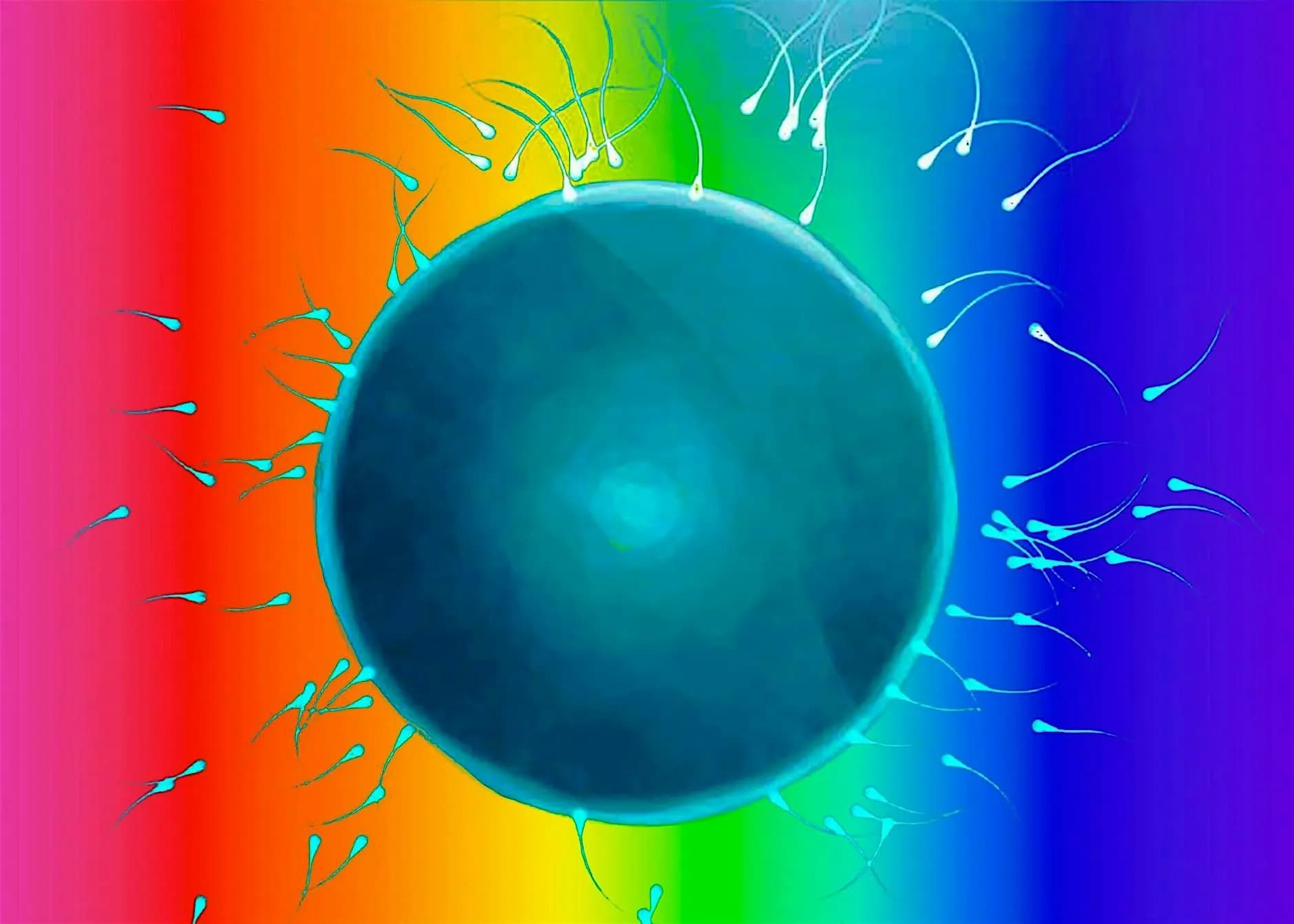 Queer Family Building Class - Insemination 101- Oct
