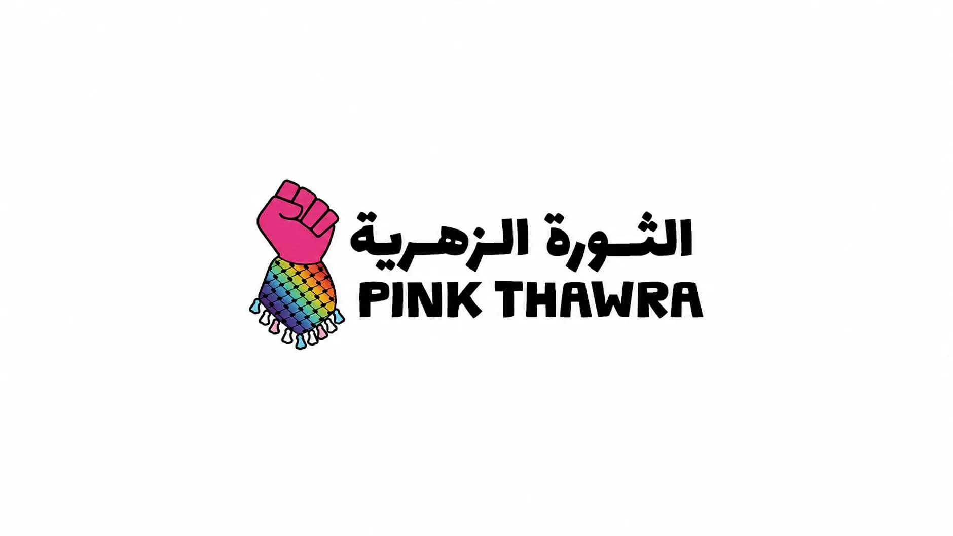 Unmasking Pinkwashing