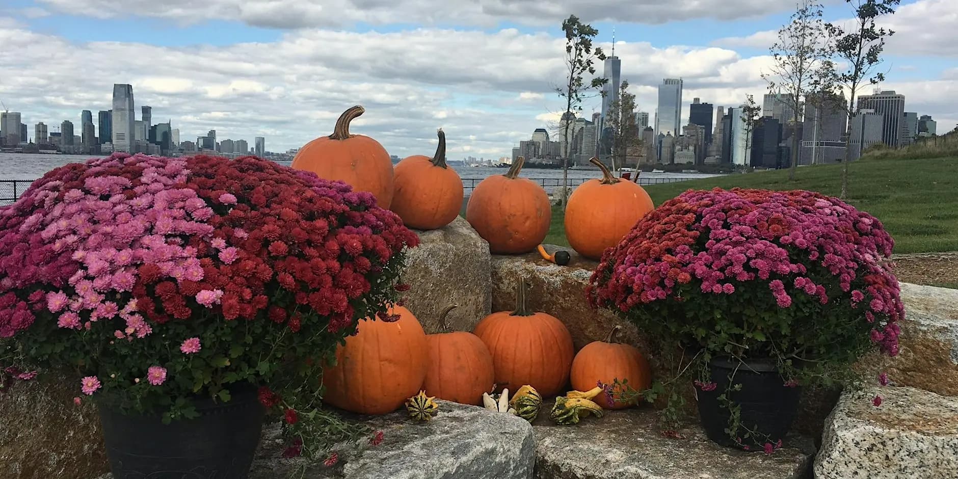 Queer Out! Free Day Trip: Governor's Island Pumpkin Patch