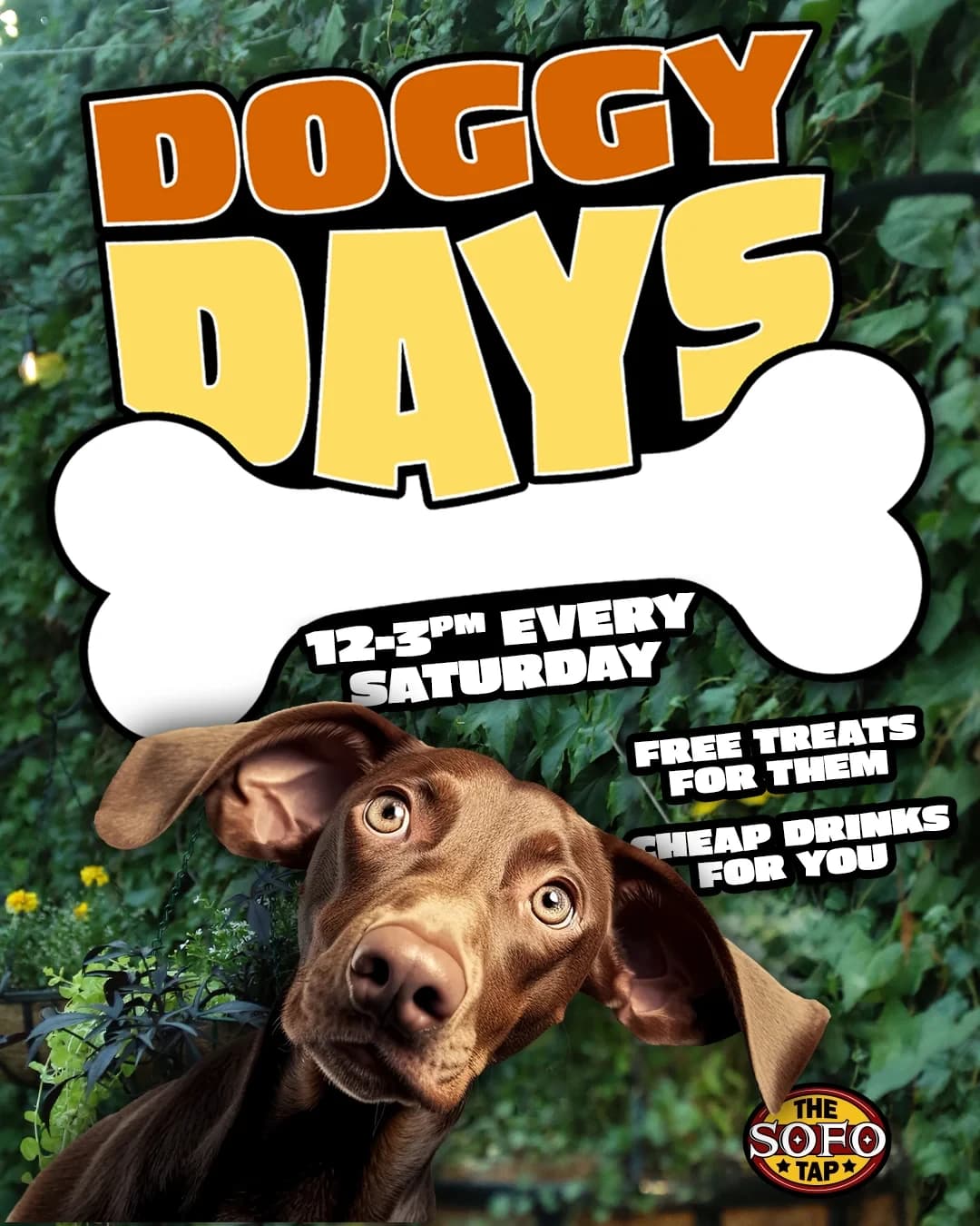 DOGGY DAYS 09/19