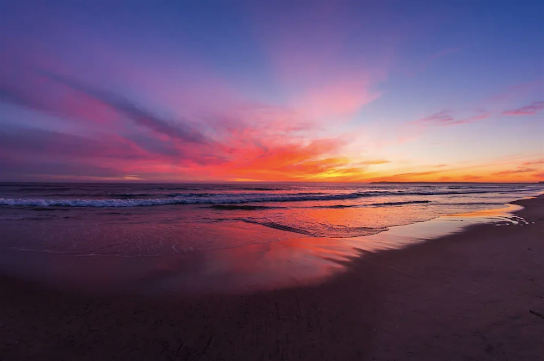Nourished in Nature: A Queer Yoga Beach Retreat
