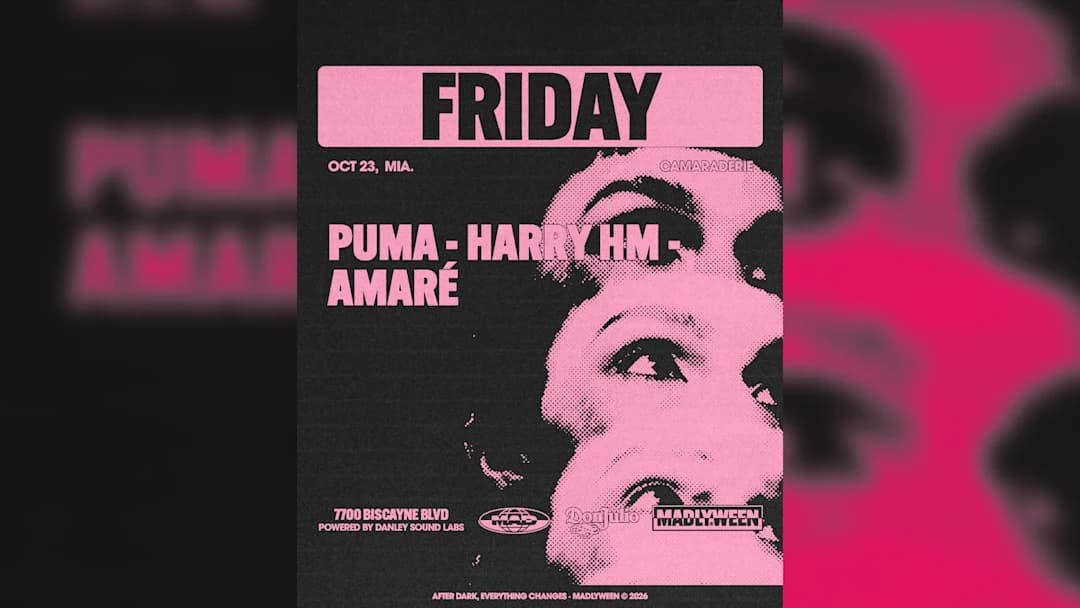 Camaraderie: Puma / Harry Hm / Amaré
