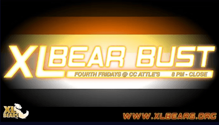 XL Bears
